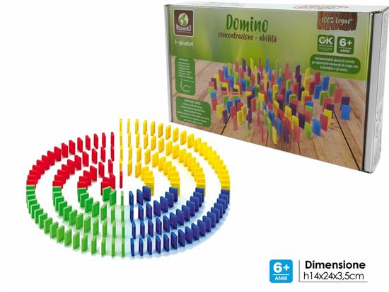 DOMINO LEGNO 120pz