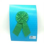 COCCARDA SCUOLA NYLON VERDE