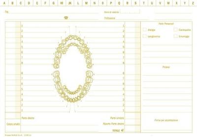 SCHEDE 17x24 DENTISTI 100pz