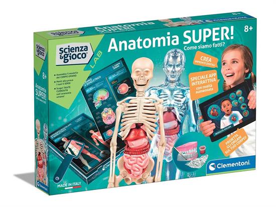 ANATOMIA SUPER