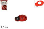 COCCINELLE C/ADESIVO 36pz 2,5cm