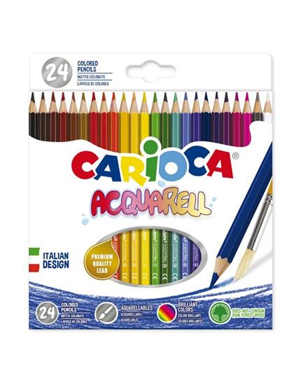 PASTELLI ACQUARELLABILI CARIOCA 24pz