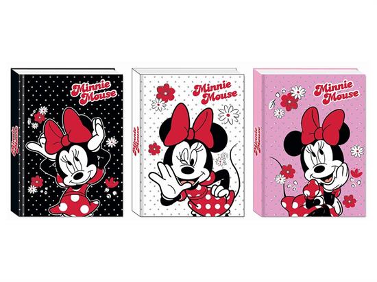 DIARIO MINNIE