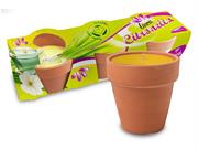 CITRONELLA IN TERRACOTTA 3pz