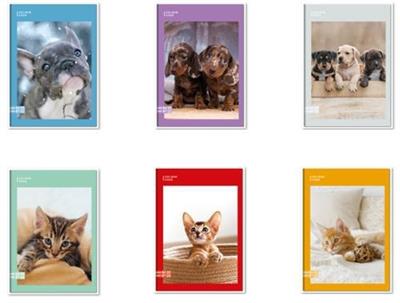 MAXI SEVEN COLOUR CODE A ANIMAL SNAPSHOT