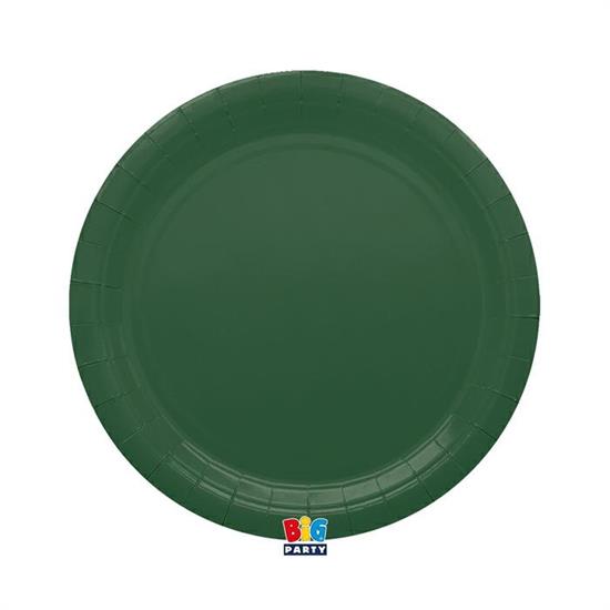 PIATTI ECOLOR 24cm VERDE FORESTA 25pz