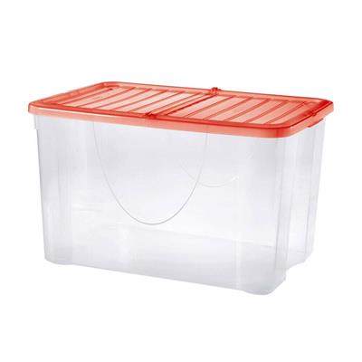 DODO BOX 41l 57x39x H 26 COPERCHIO PIEGH.CORALLO