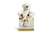 BOX SCENTED BATH GOLD TEDDY 5pz