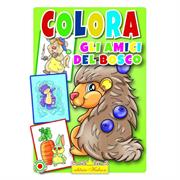 LIBRO COLORA AMICI DEL BOSCO