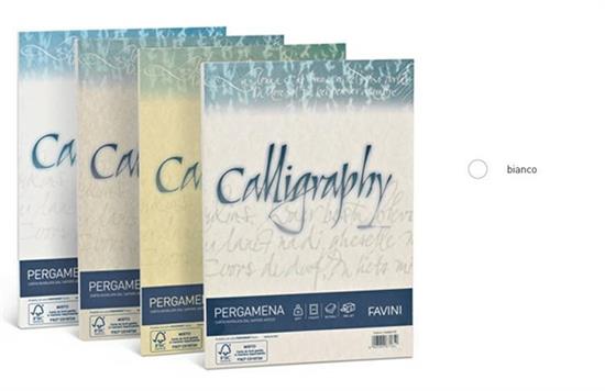 CALLIGRAPHY PERGAMENA 190gr BIANCO 50ff