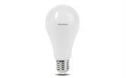 LAMPADINA LED NATURALE GOCCIA E27 21W