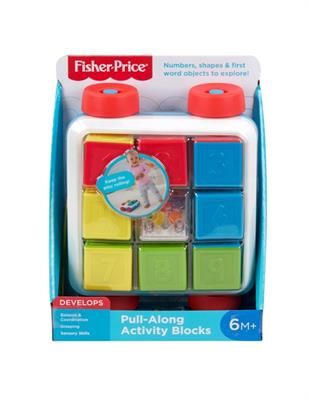 TRAINABILE ACTIVITY BLOCKS FISHER PRICE