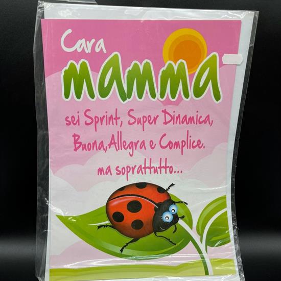 BIGLIETTO MAXI MAMMA