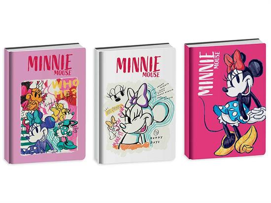 DIARIO MINNIE 10 MESI