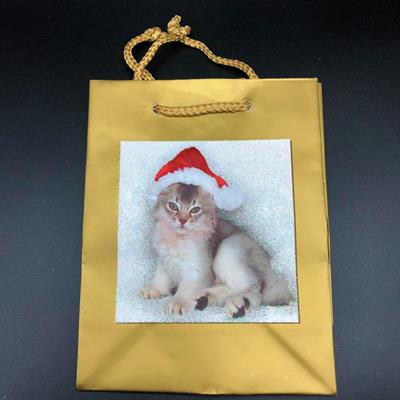 SHOPPER NATALE ORO GATTINO 33x25x9