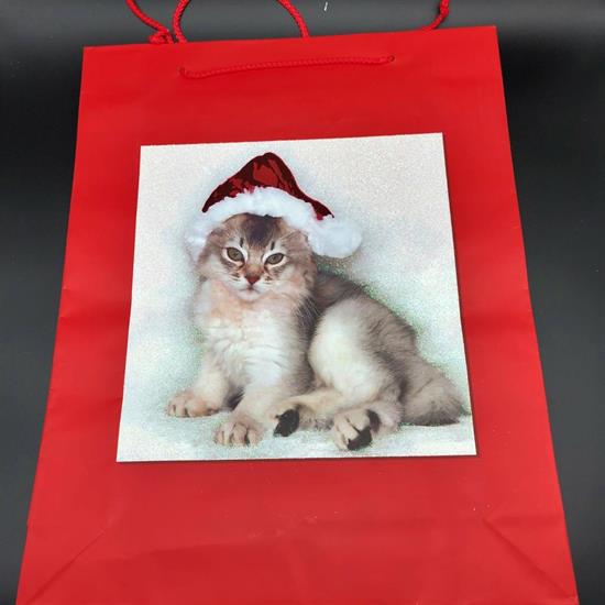 SHOPPER NATALE ROSSA GATTINO 42x33x10