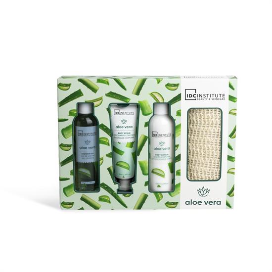 SET ALOE VERA 4pz