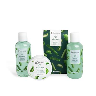 SET ALOE VERA 4pz BASKET