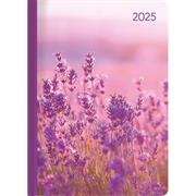 AGENDA 2025 LADYT. WEEK LAVENDER