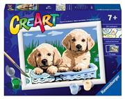 CREART CANI RETRIEVER